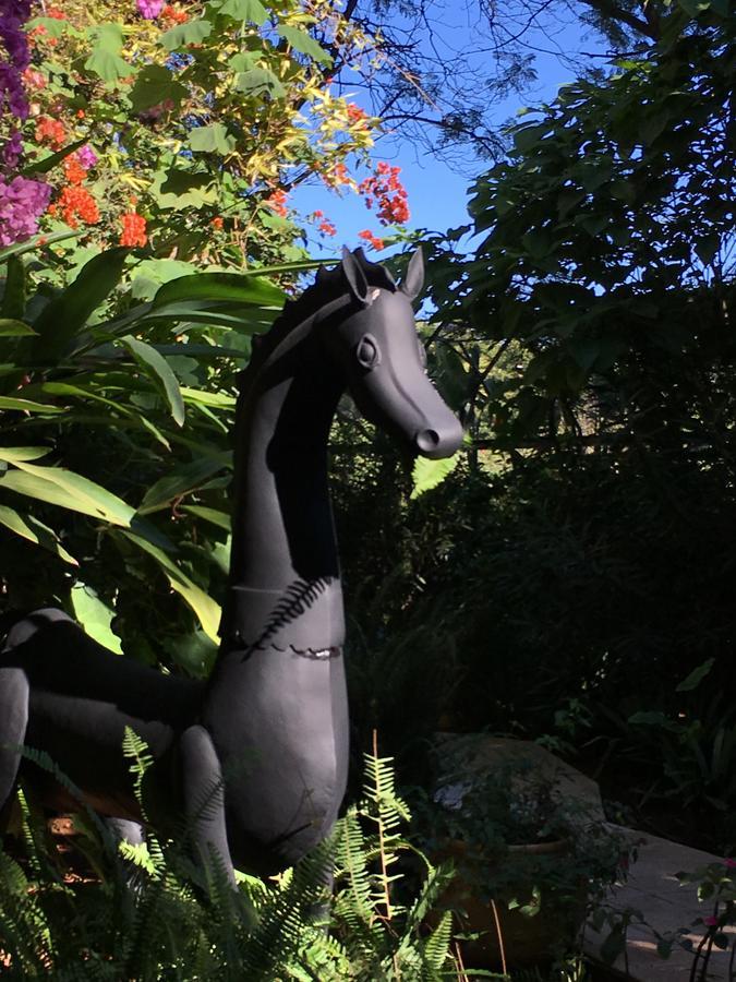 La Villa Mandarine Rabat Exteriér fotografie